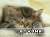 Atvirukai su
