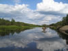 Paveikslėlis