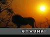 Gyv�n� wallpaperiai