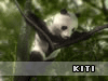 Kiti wallpaperiai